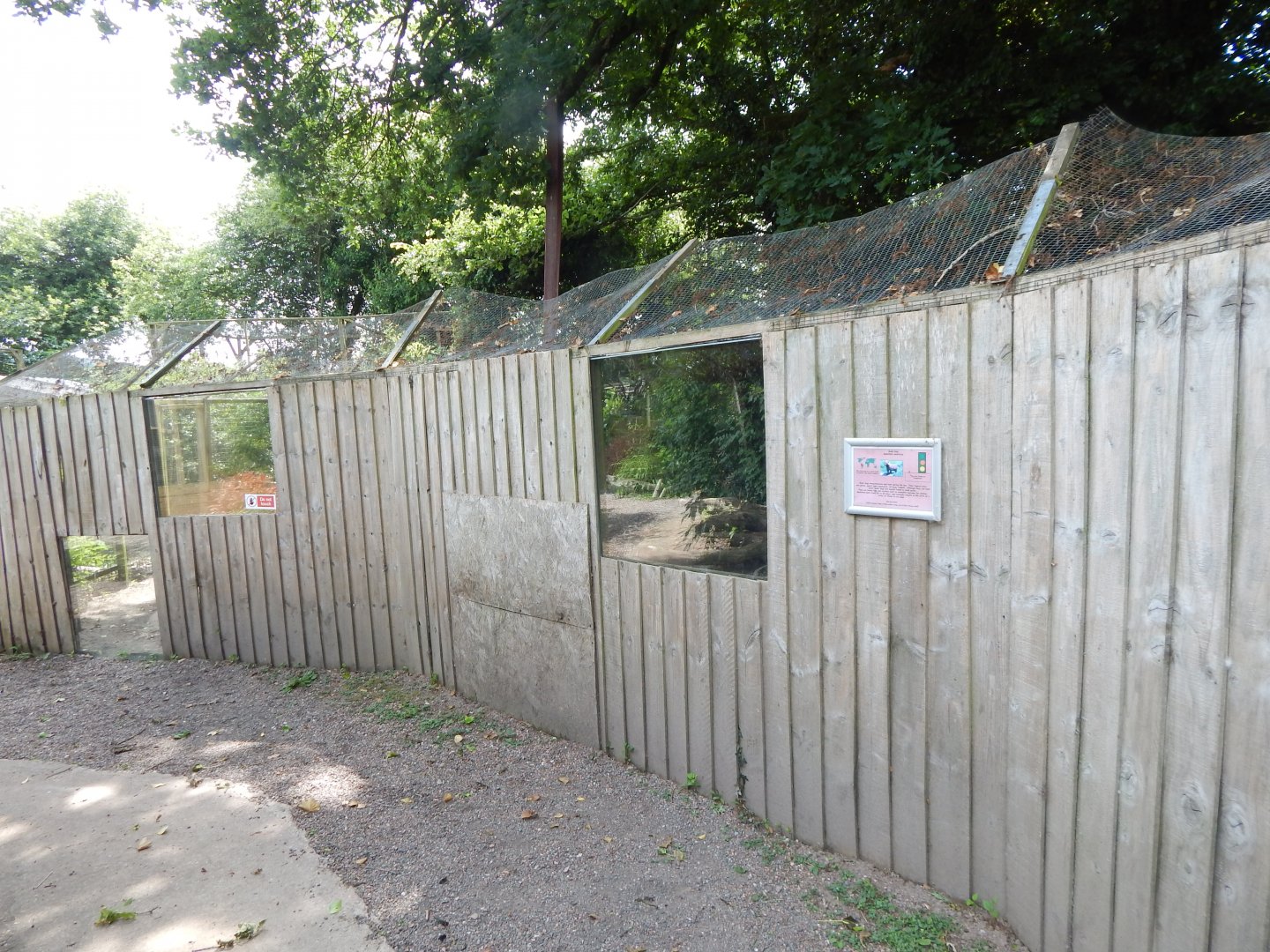 Bush dog enclosure 060625