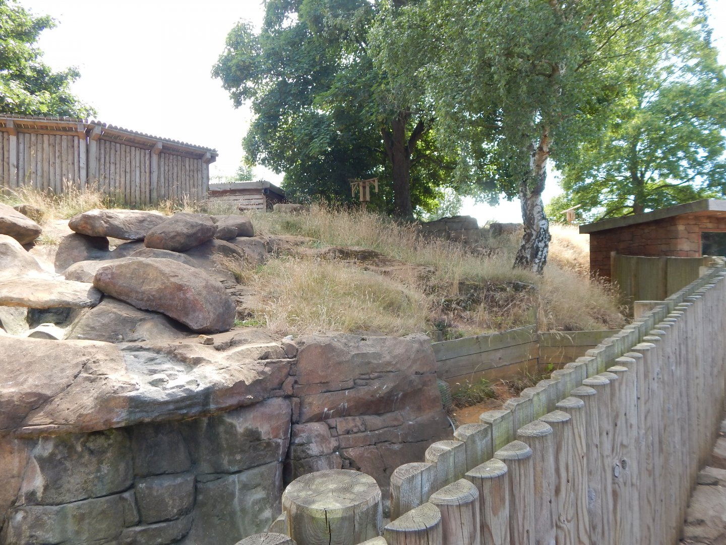 Bush dog enclosure 110722