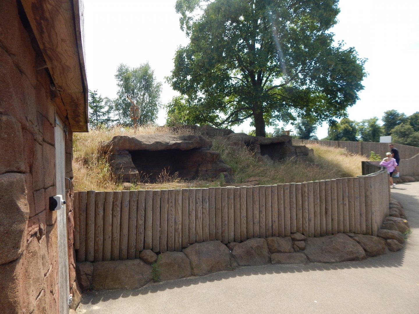 Bush dog enclosure 110722