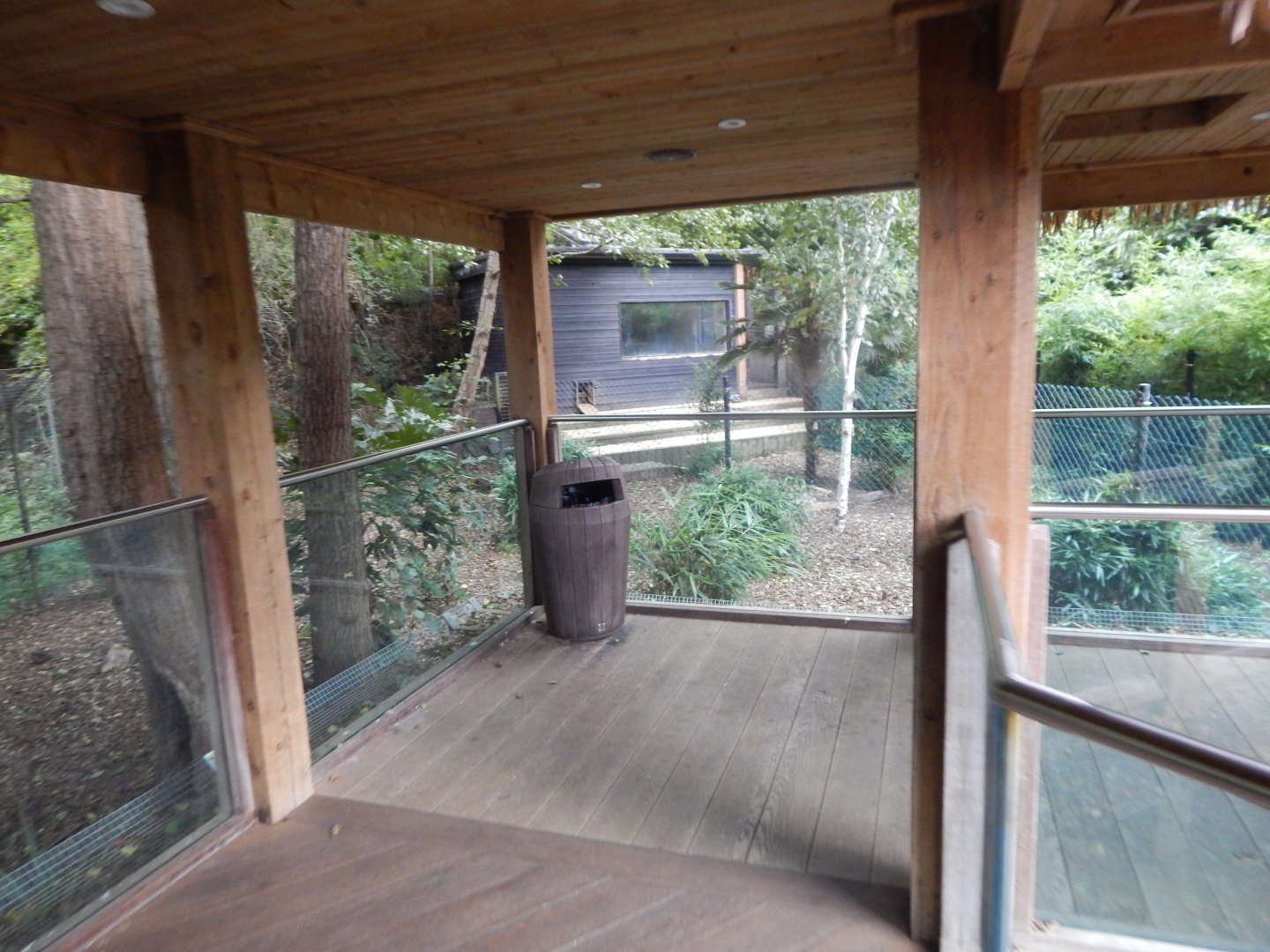 Bush dog enclosure 110925