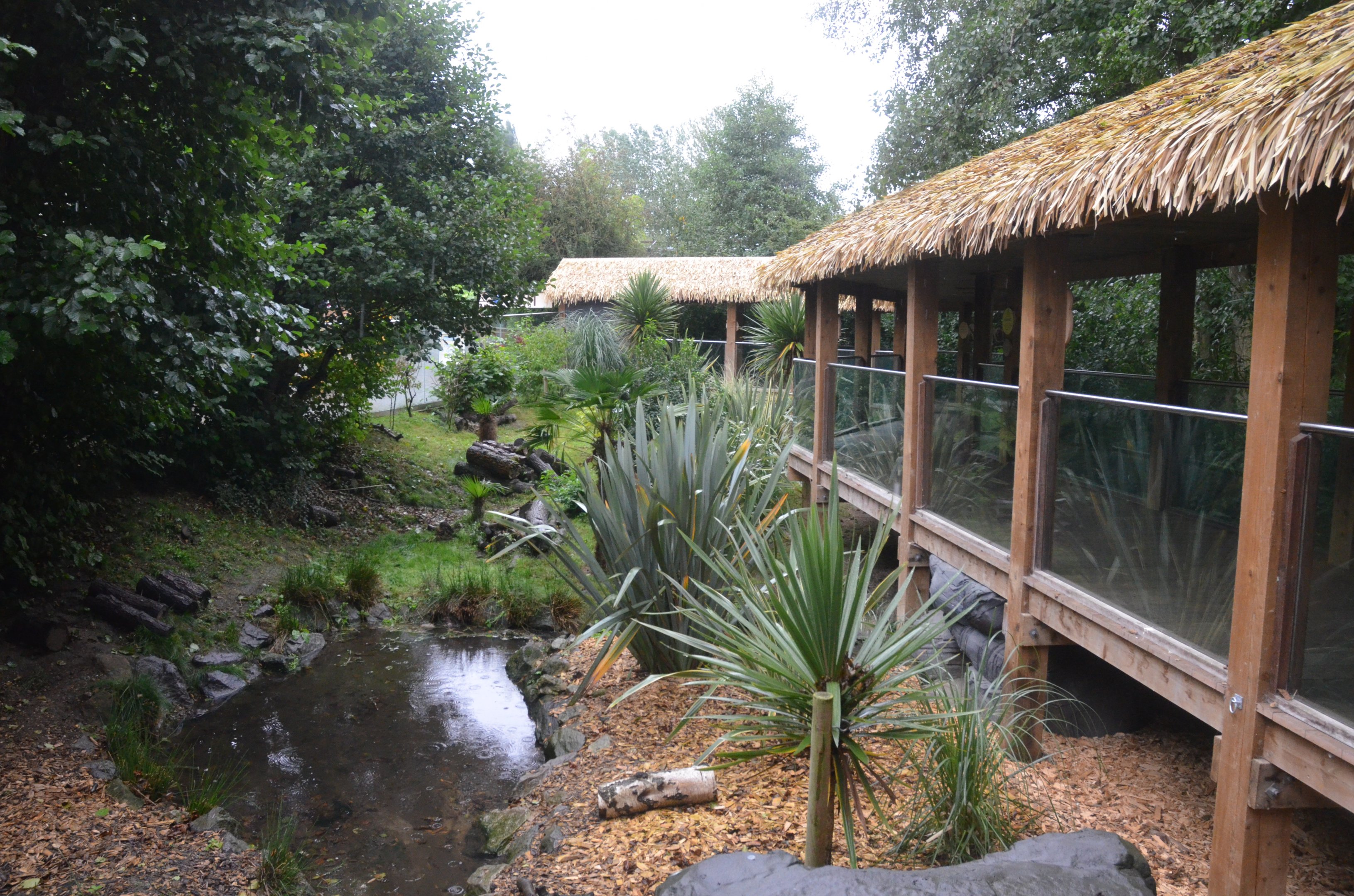 Bush Dog Enclosure at Colchester, 09/09/19