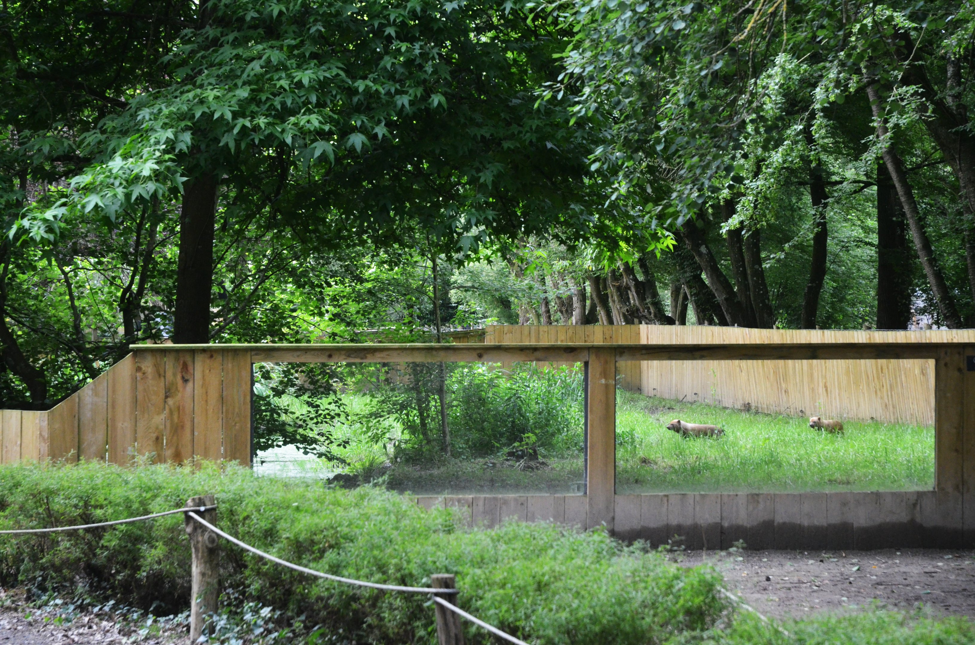 Bush Dog Enclosure at Spaycific'Zoo, 13/06/18