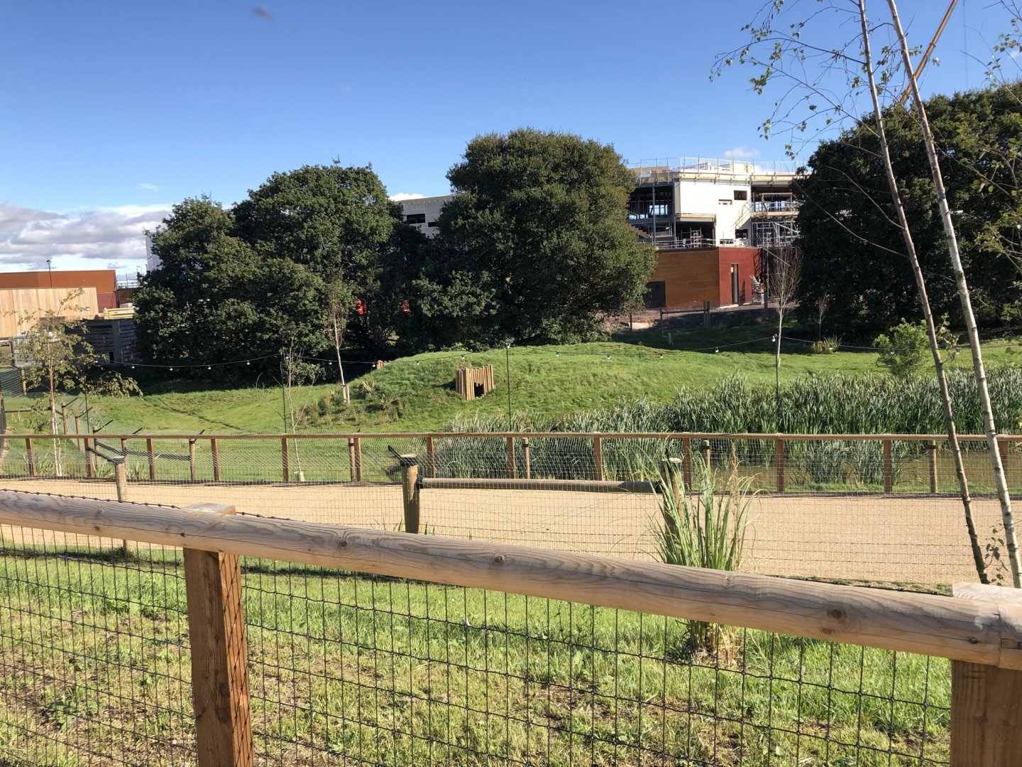 Bush Dog Enclosure at Yorkshire Wildlife Park (October 2021)