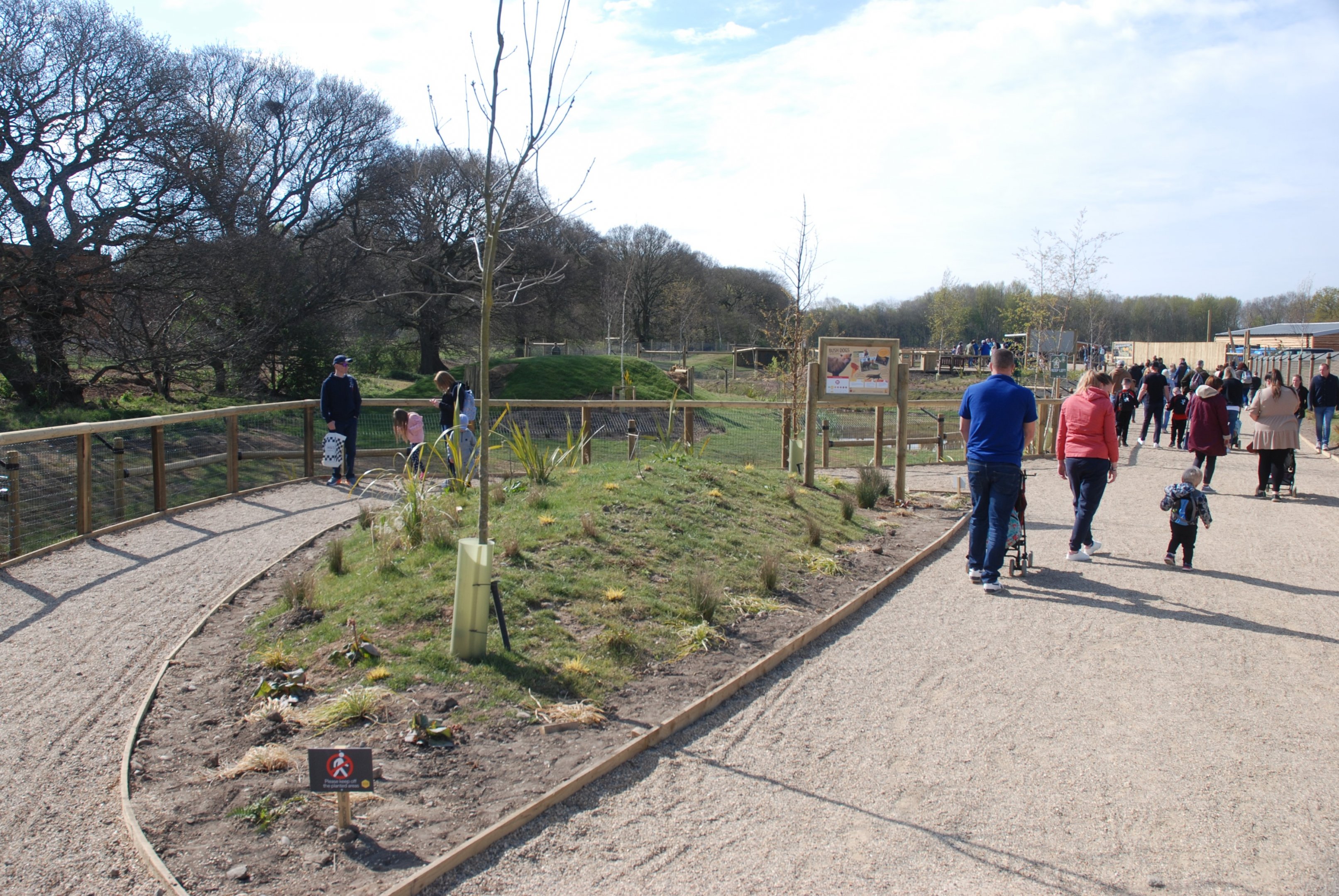 Bush Dog Enclosure at Yorkshire WP, 18th April 2021