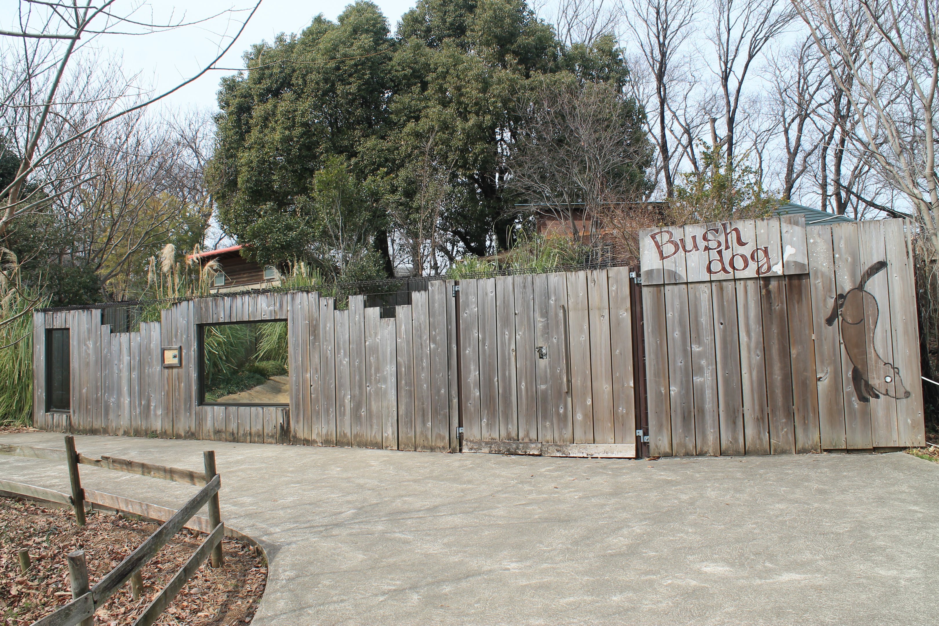 Bush Dog enclosure - Saitama Childrens Zoo
