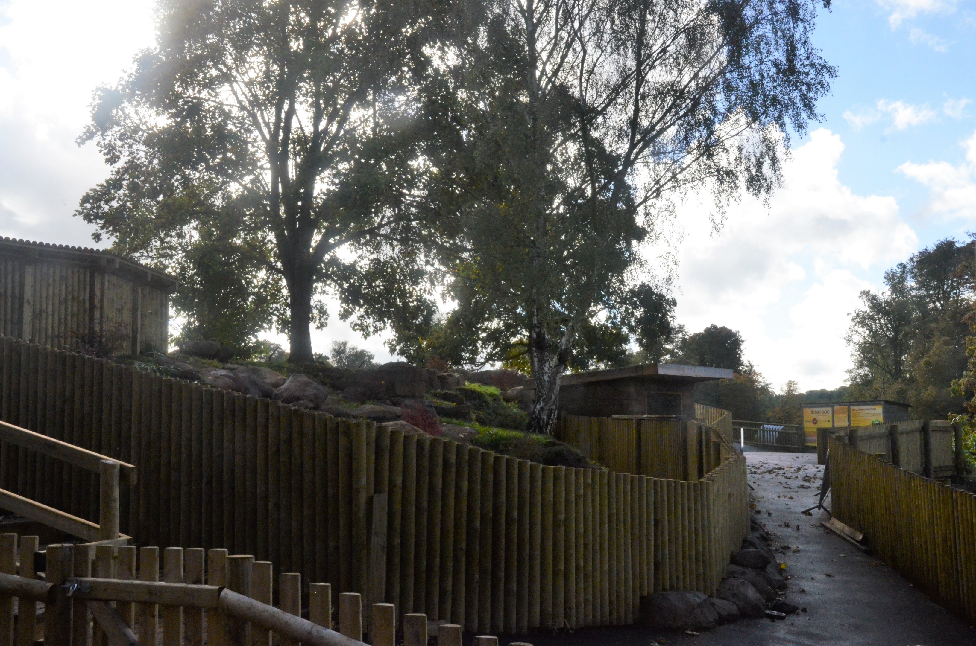 Bush Dog Enclosure (still unfinished) at Woburn Safari Park, 16/10/16