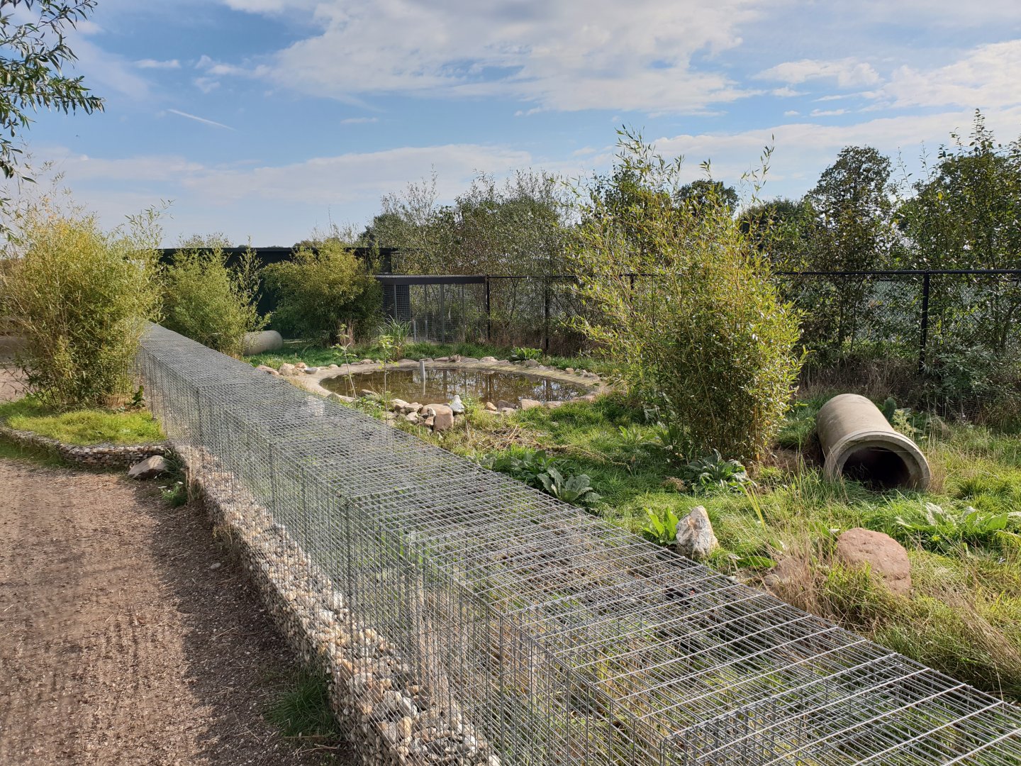 Bush dog enclosure