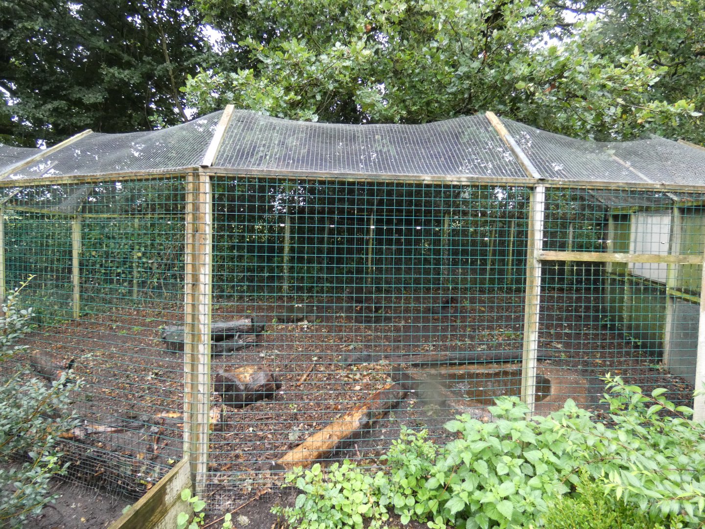 Bush Dog enclosure