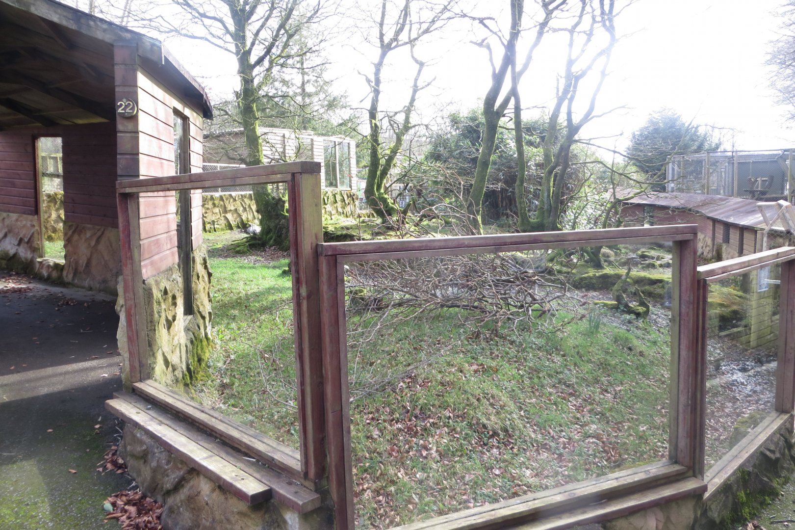 Bush dog exhibit 040319