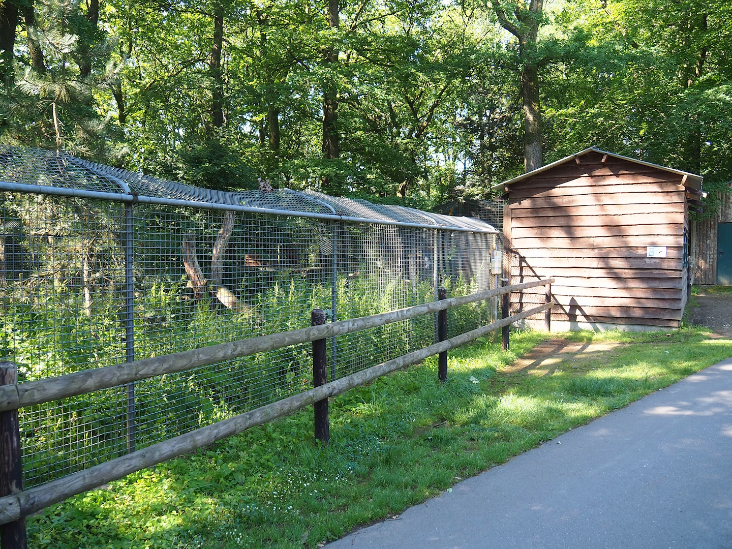 Bush dog exhibit and Bush dog and Squirrel monkey barn, 2023-06-24