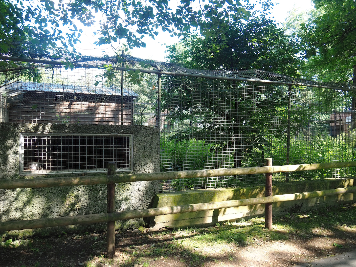 Bush dog exhibit and shelter, 2023-06-24
