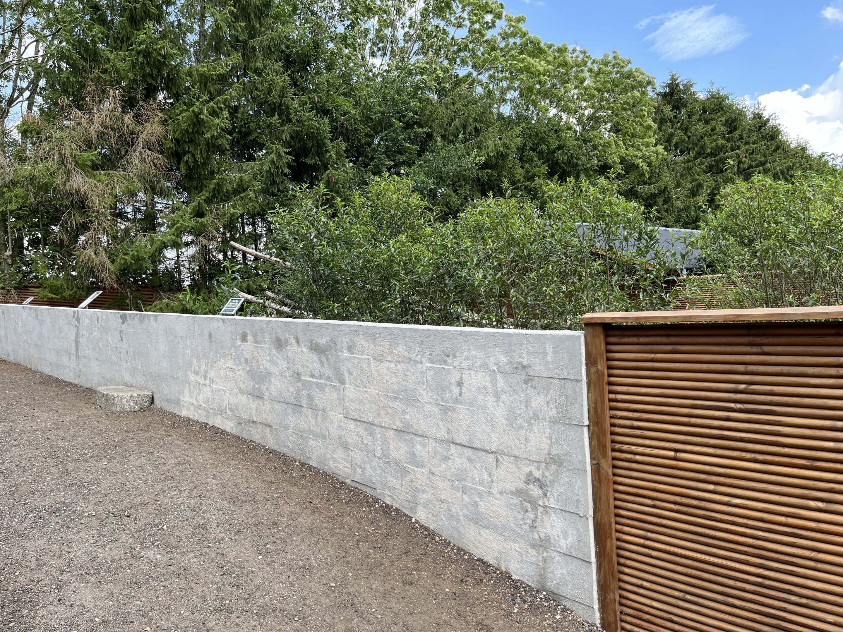Bush Dog Exhibit - outer wall