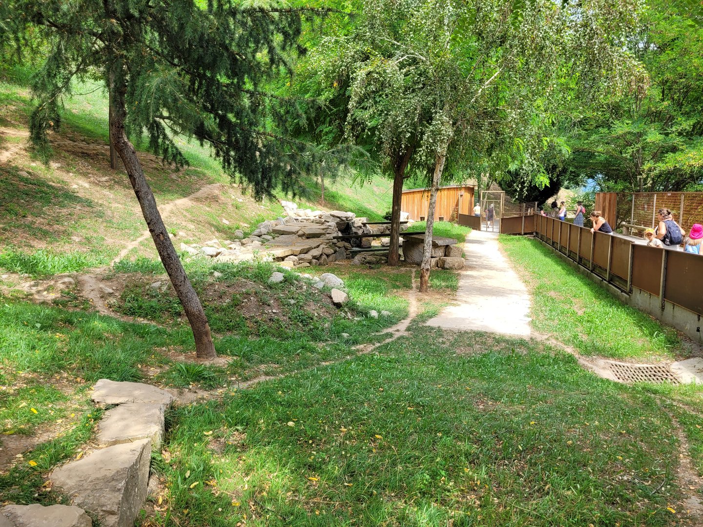 Bush dog exhibit -Parc Animalier des Pyrénées (2023)