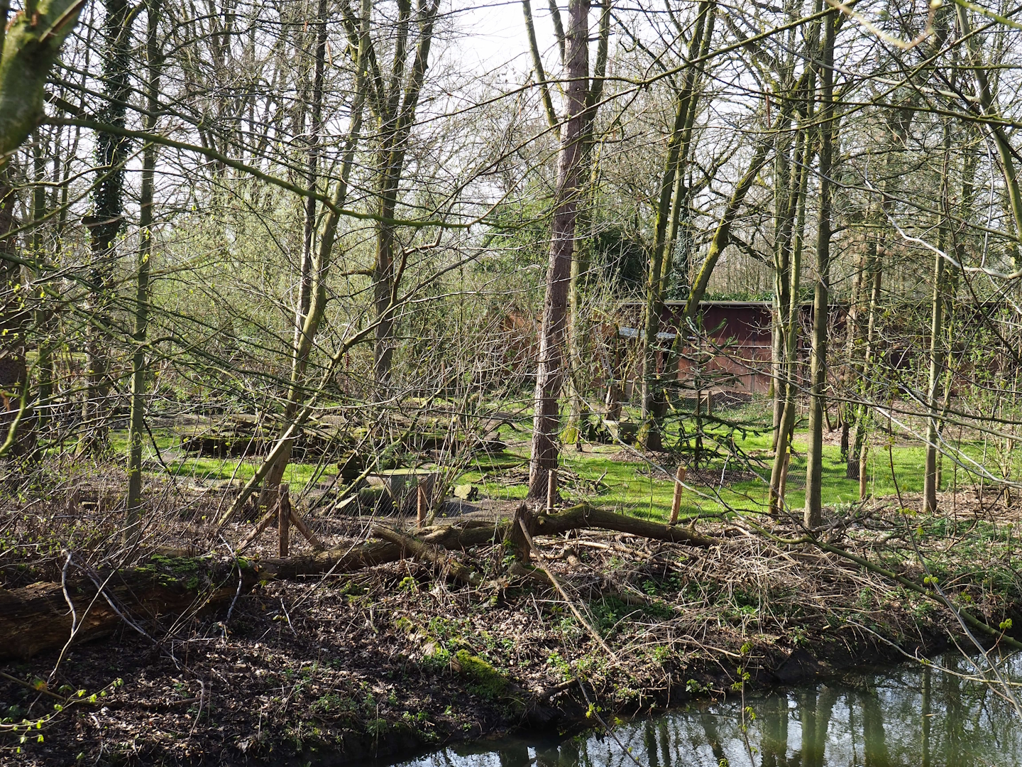 Bush dog exhibit, seen from exit area of the African section, 2023-03-28