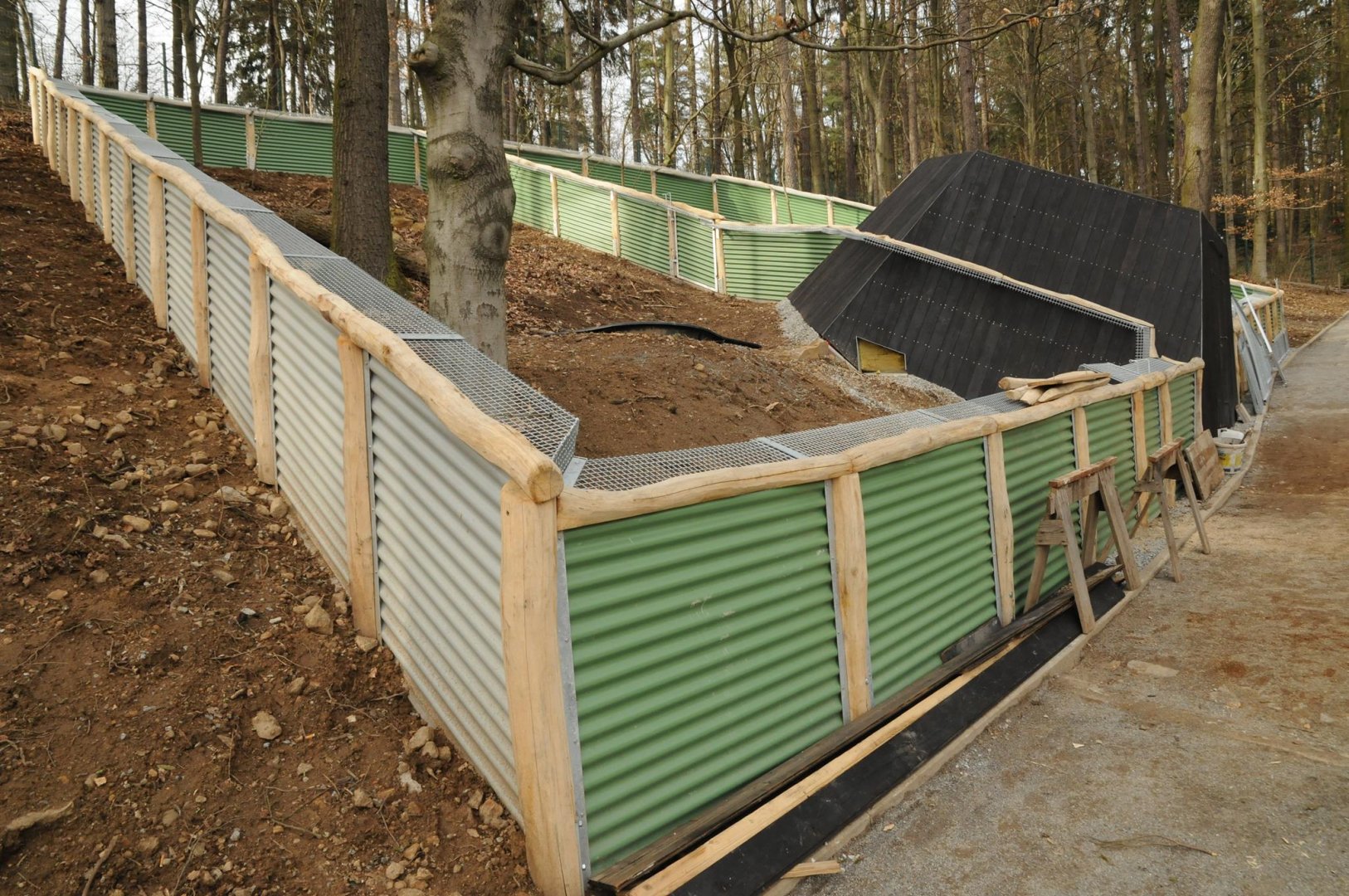 Bush dog exhibit - under construction