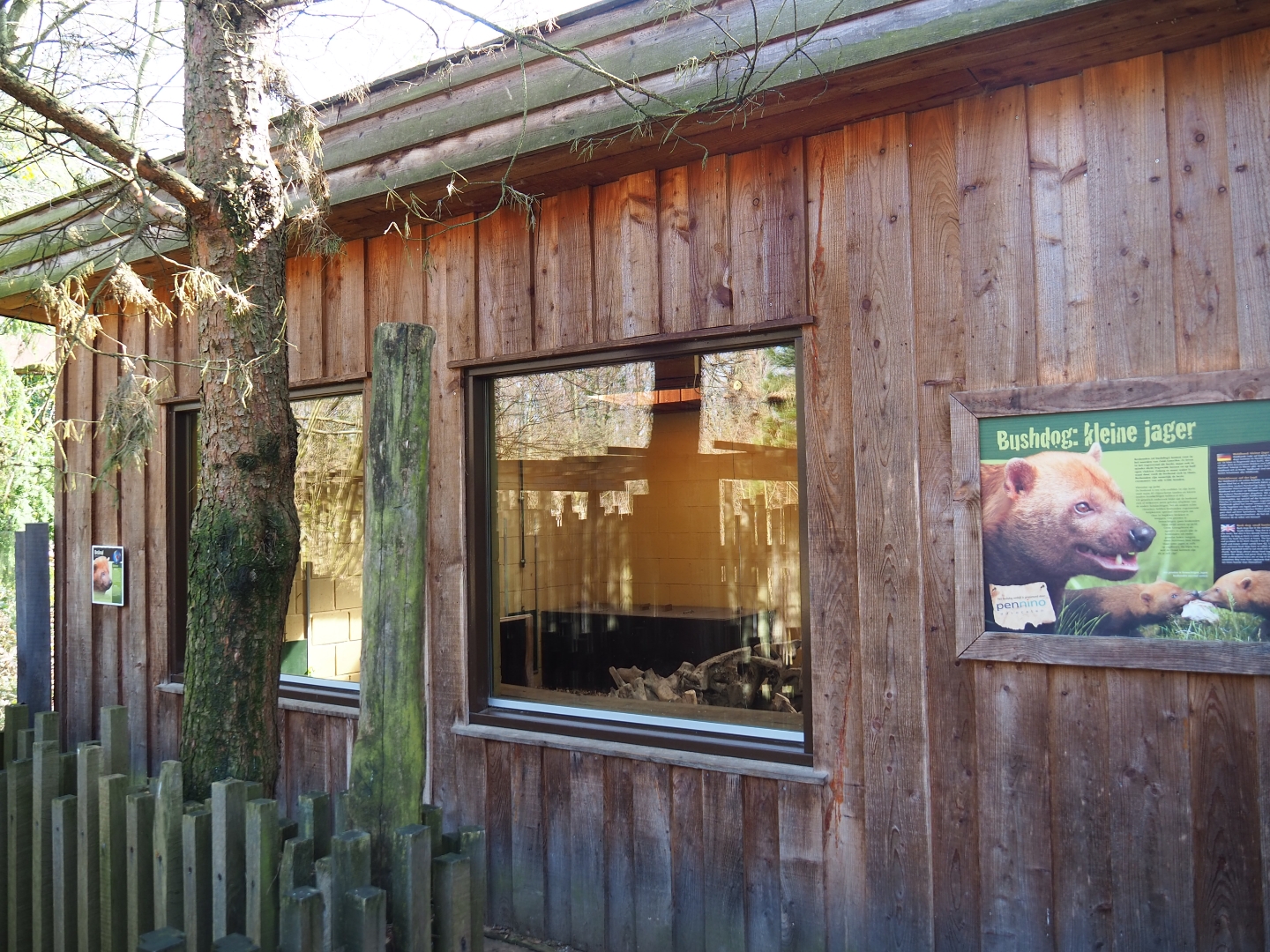 Bush dog house, 2019-03-30