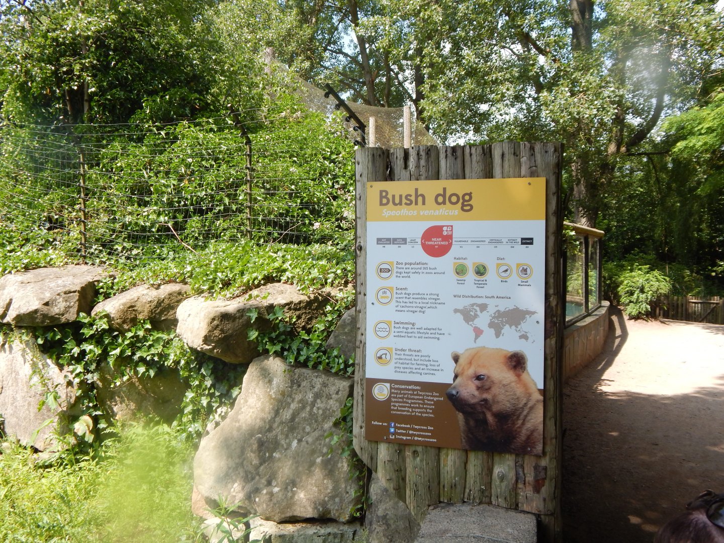 Bush dog information sign 020721