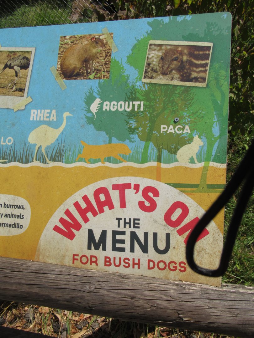 Bush dog miss-information