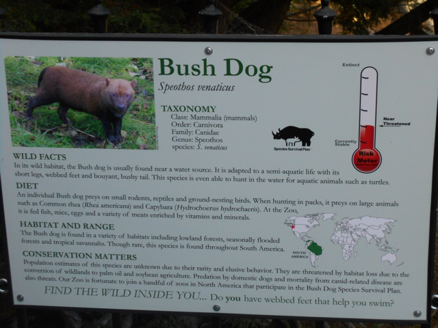 Bush dog sign