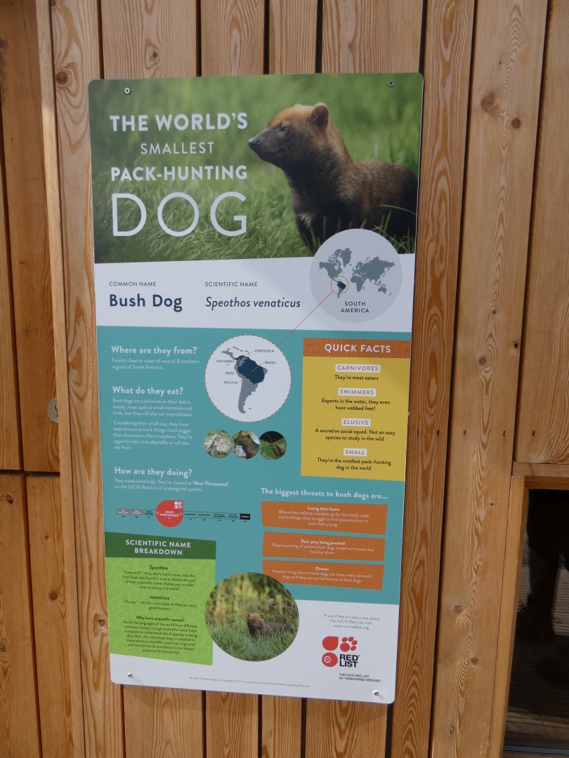 Bush dog signage