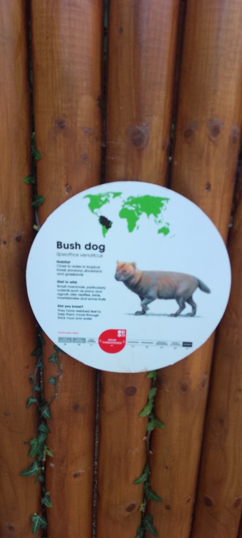 Bush dog Signage