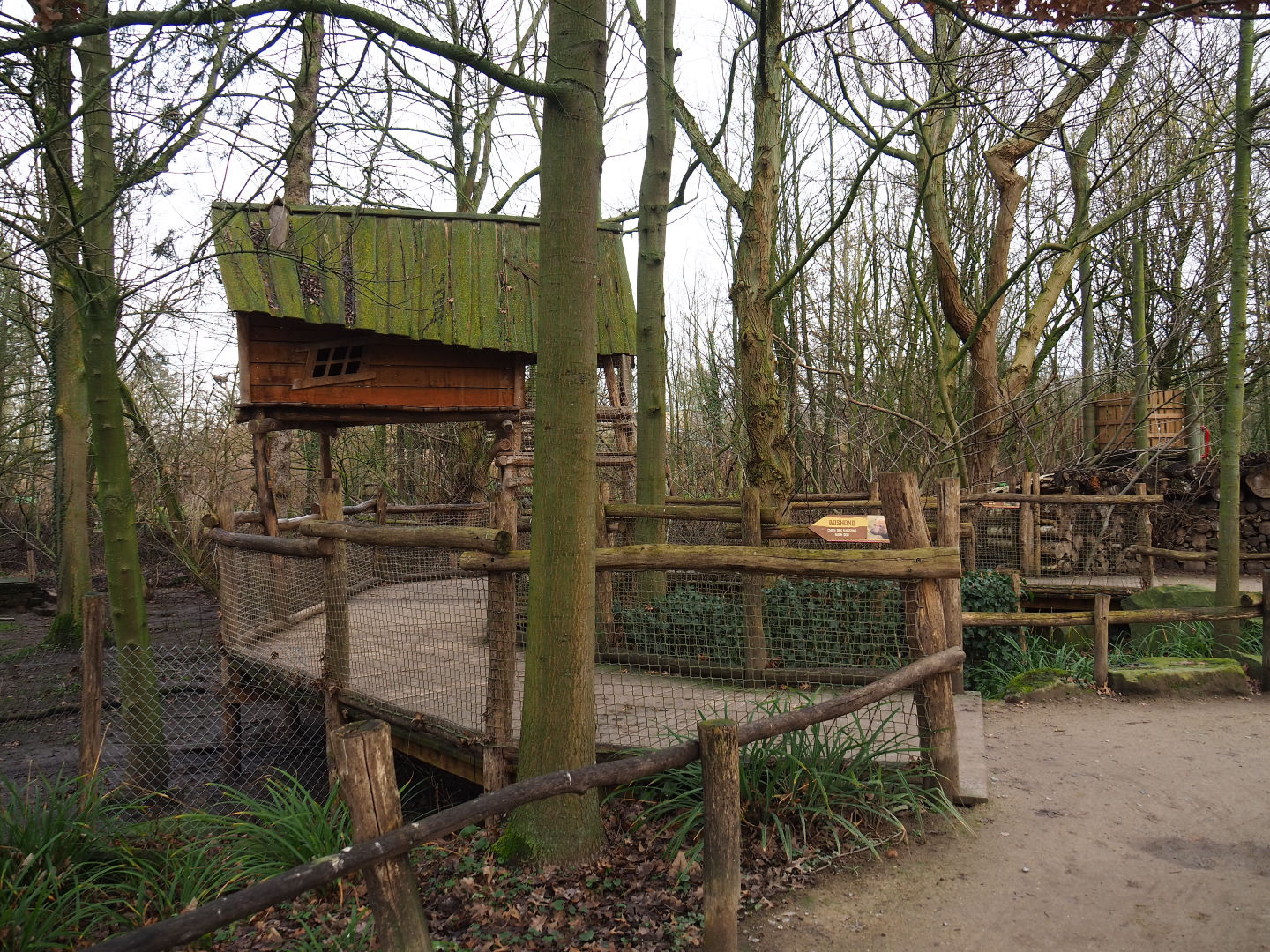 Bush dog viewing area, 2020-01-11