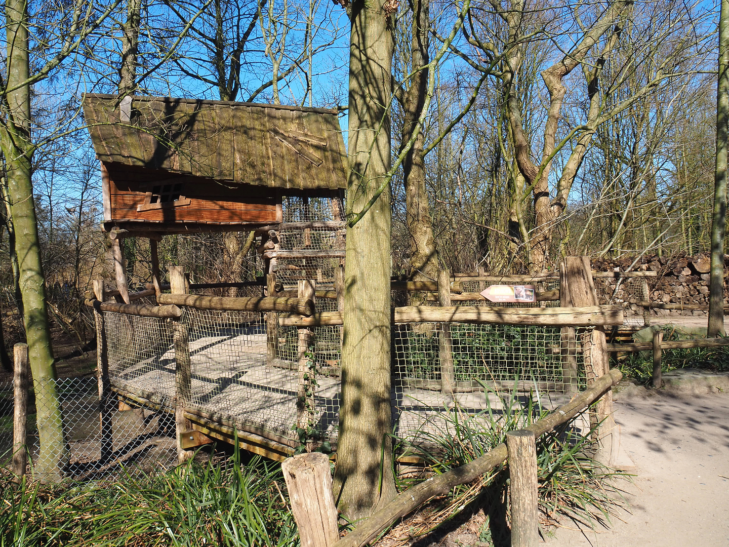 Bush dog viewing area, 2022-03-08