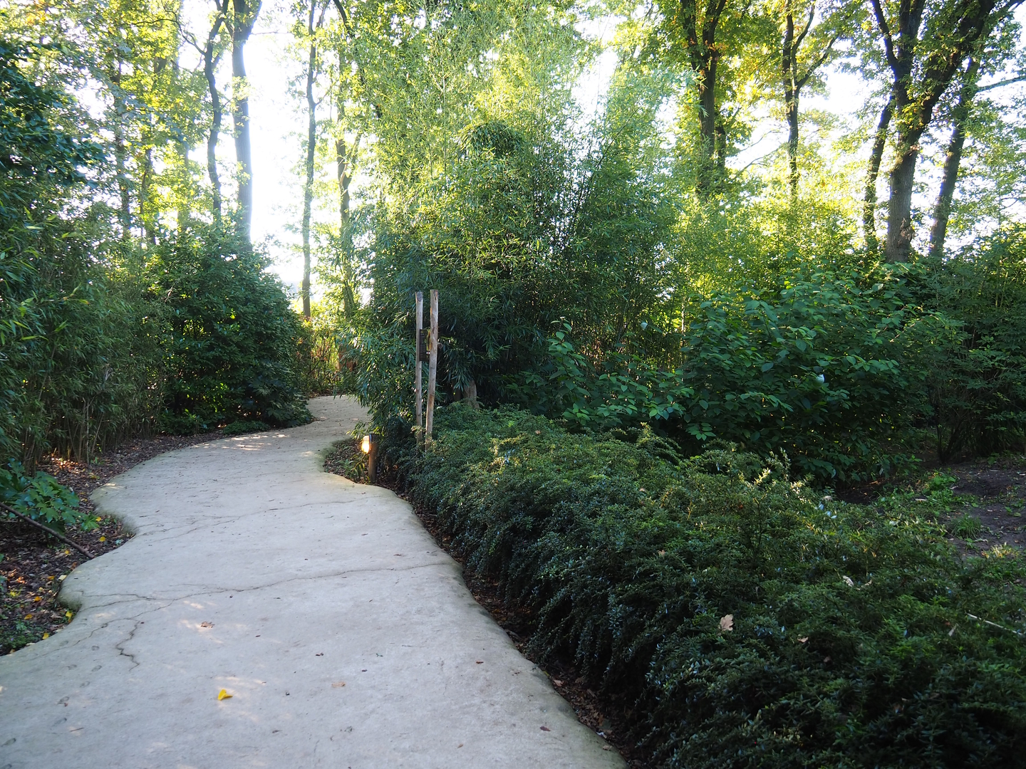 Bush dog viewing area, 2022-10-09
