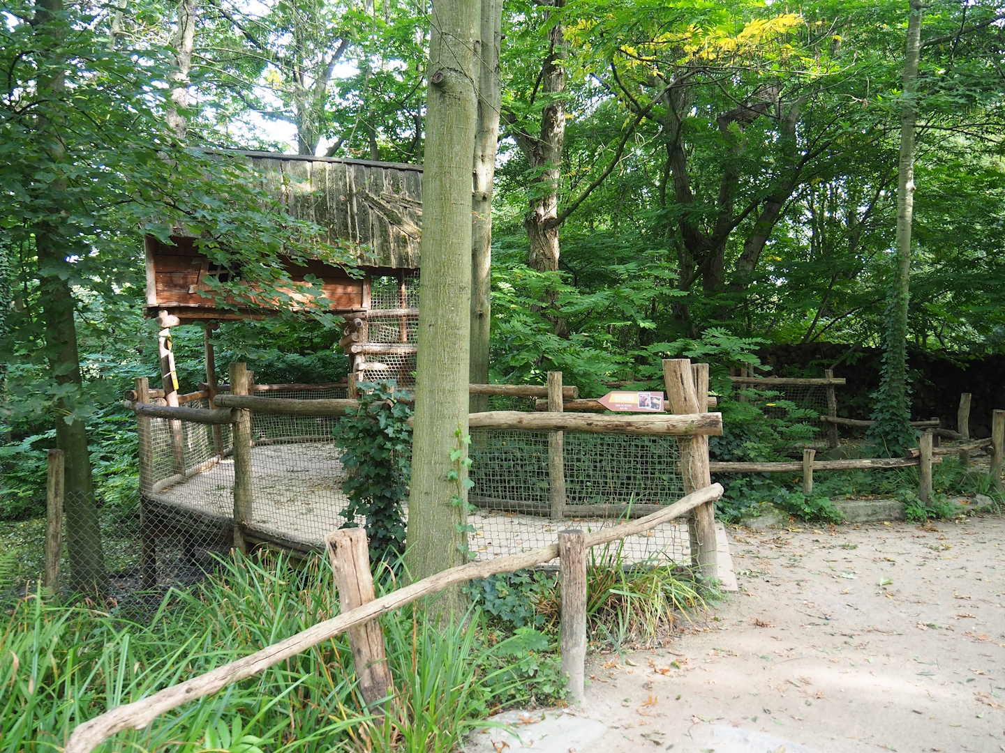 Bush dog viewing area, 2023-10-04