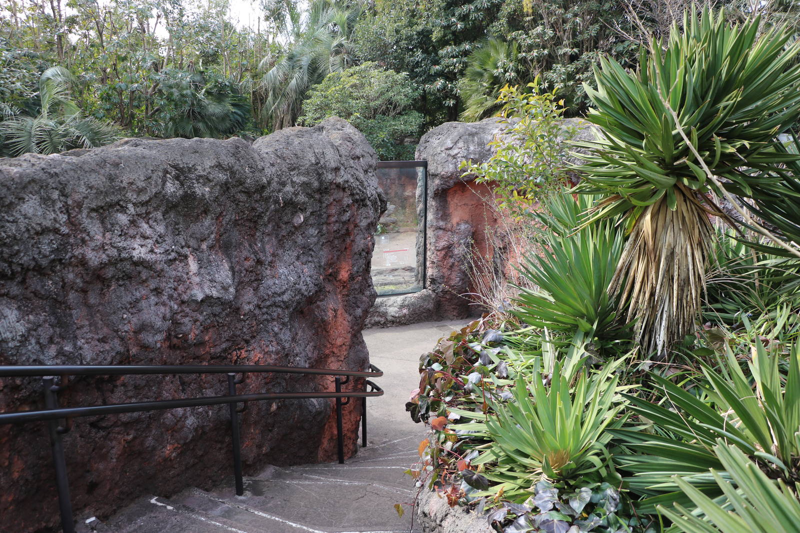 Bush dog viewing area, February 2016