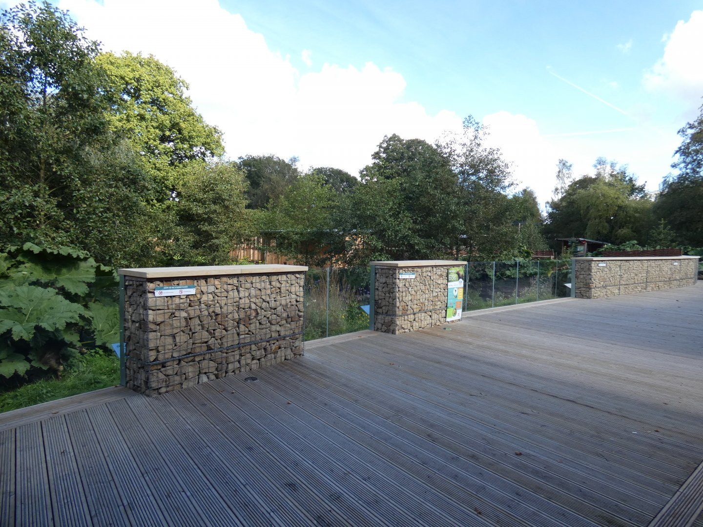 Bush dog viewing area