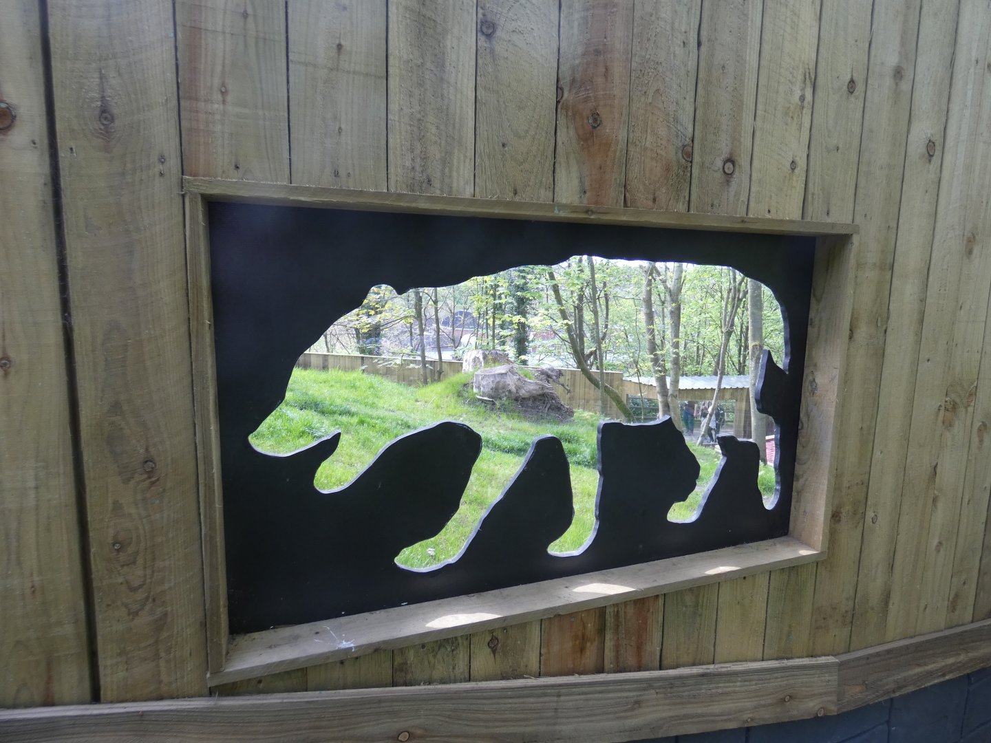 Bush dog viewing window