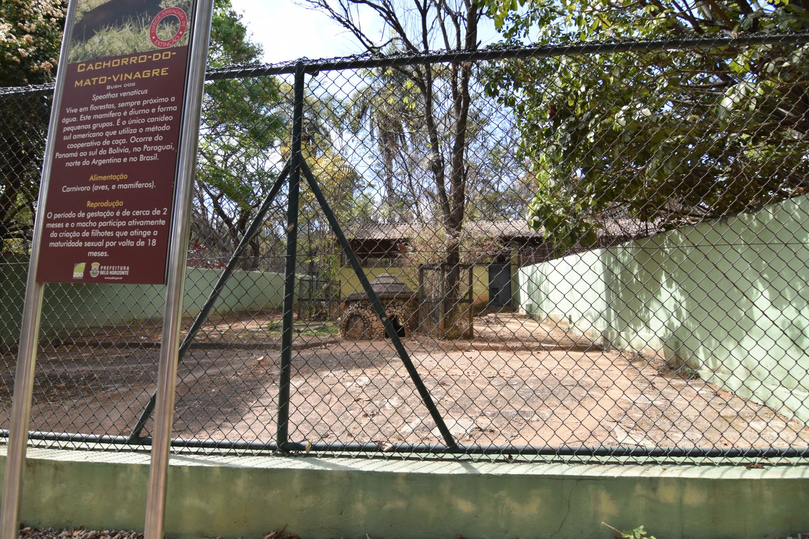 Bush dogs enclosure