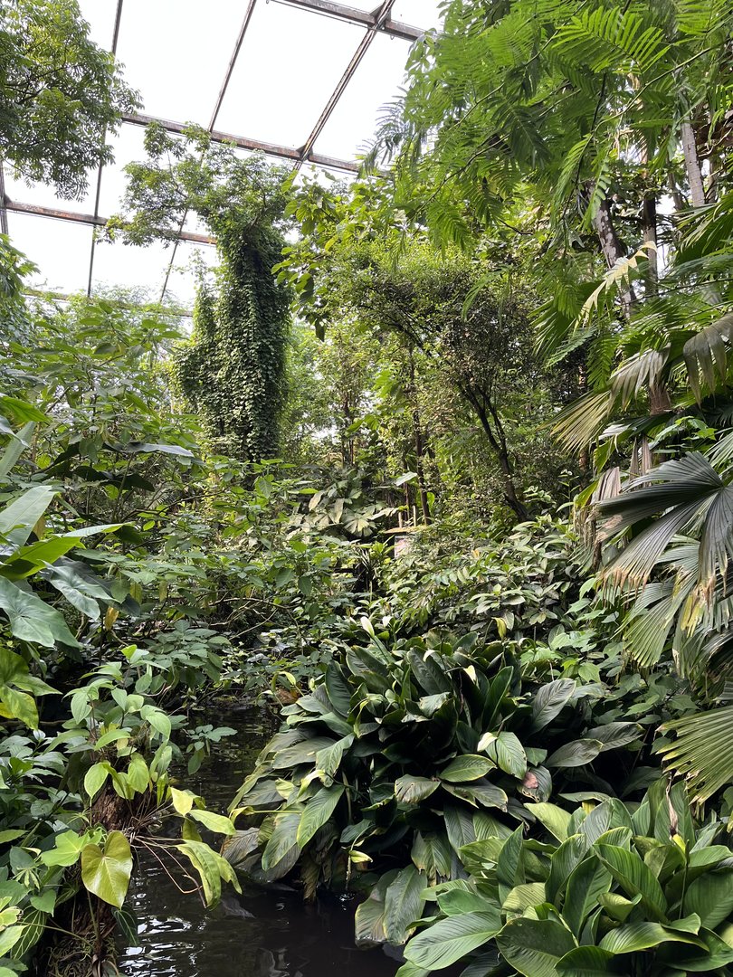 Bush- General view 6.7.23