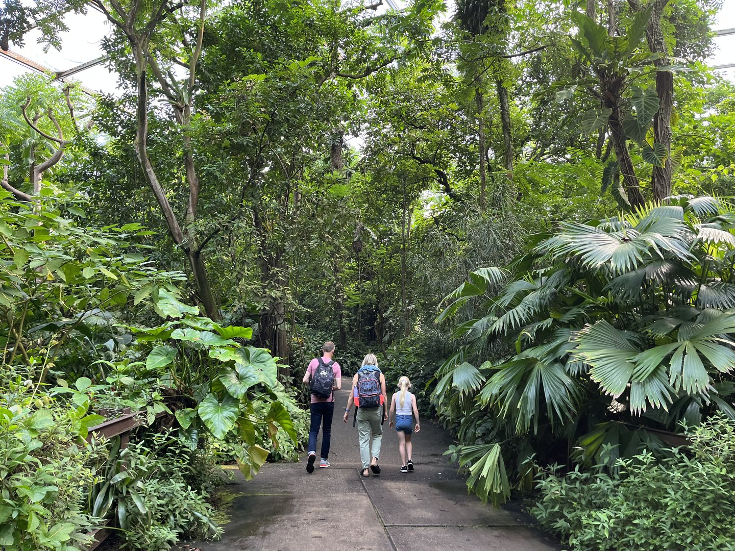 Bush- General view (with people for scale) 6.7.23