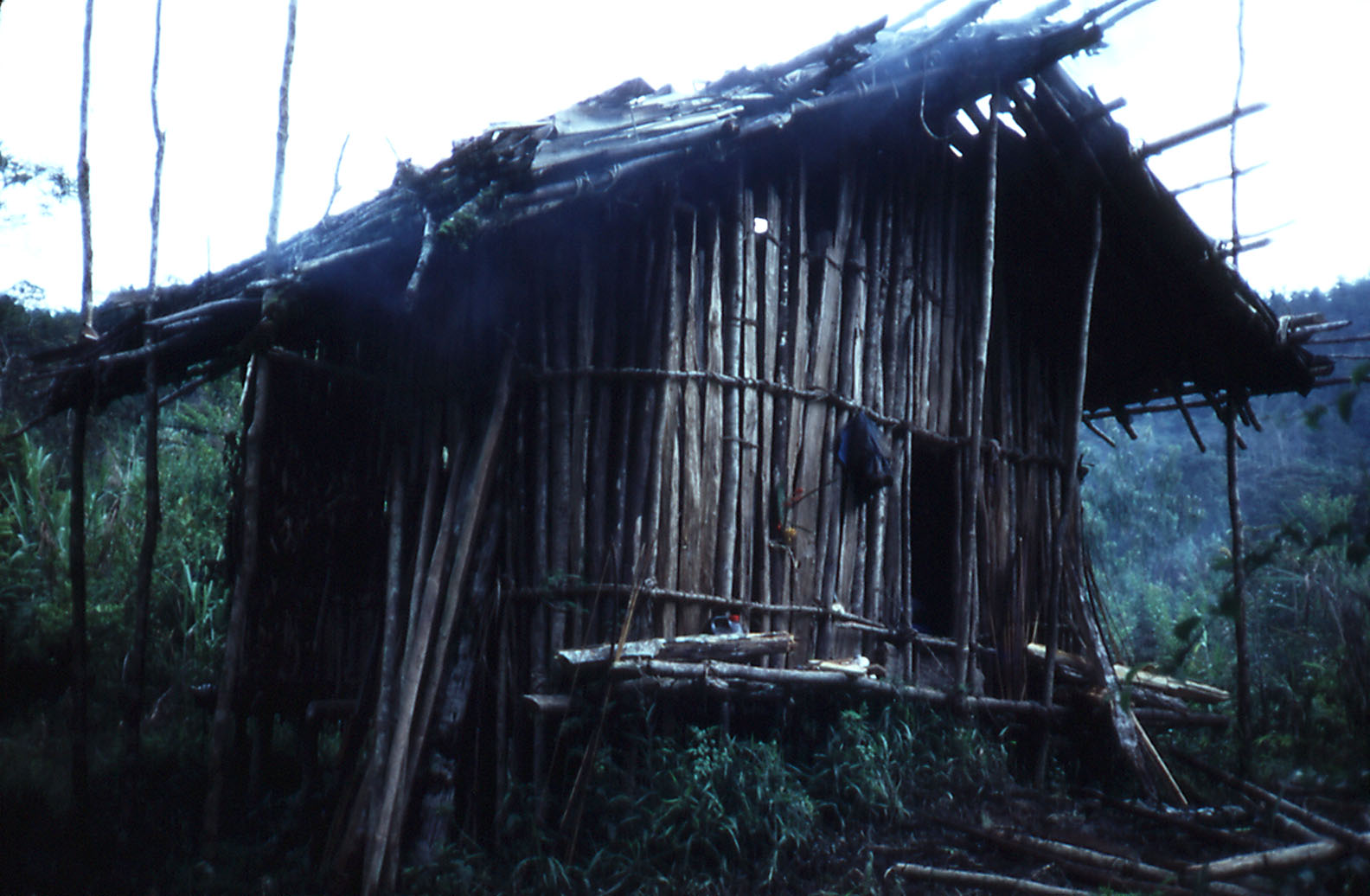 Bush Hut near the Sol River - West Sepik Province, PNG