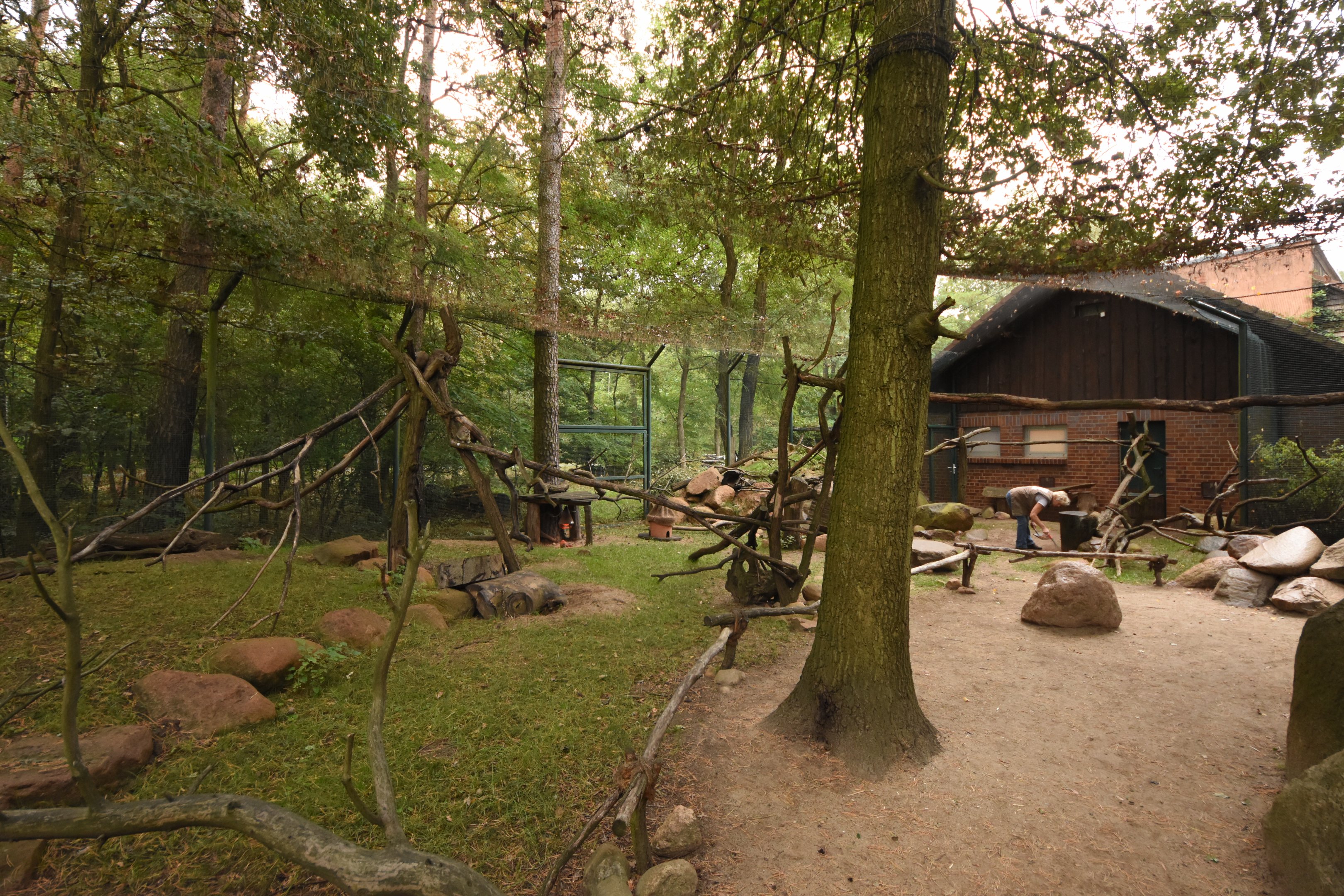 Bush hyrax, Cape ground squirrel and Spurred tortoise walkthrough