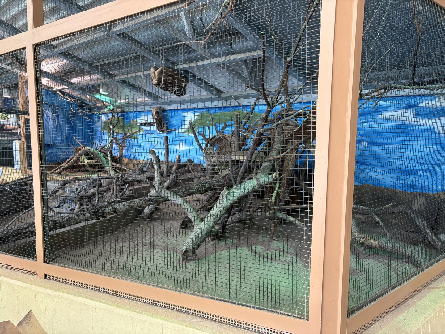 Bush Hyrax Enclosure at Zoologischer Garten Hof