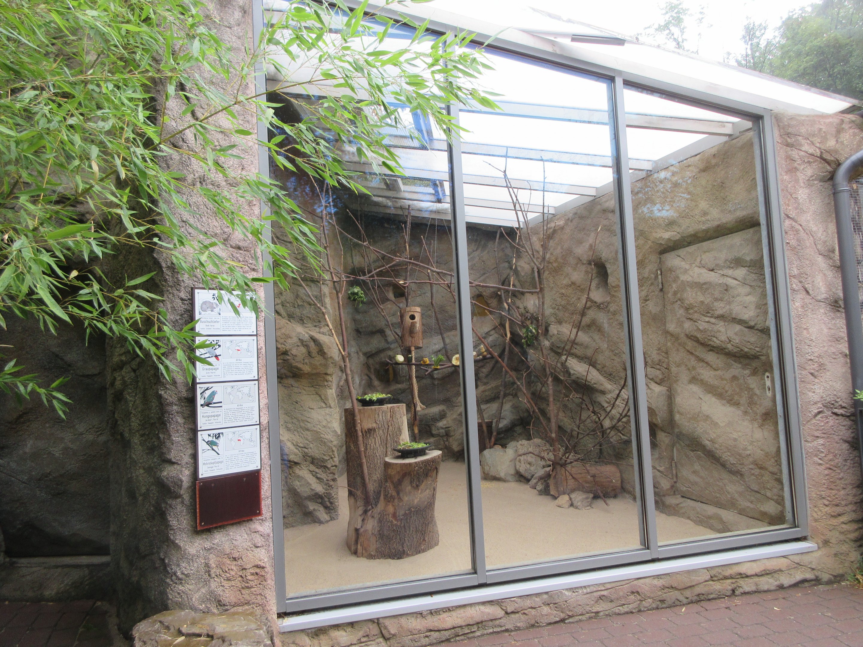 Bush Hyrax Exhibit