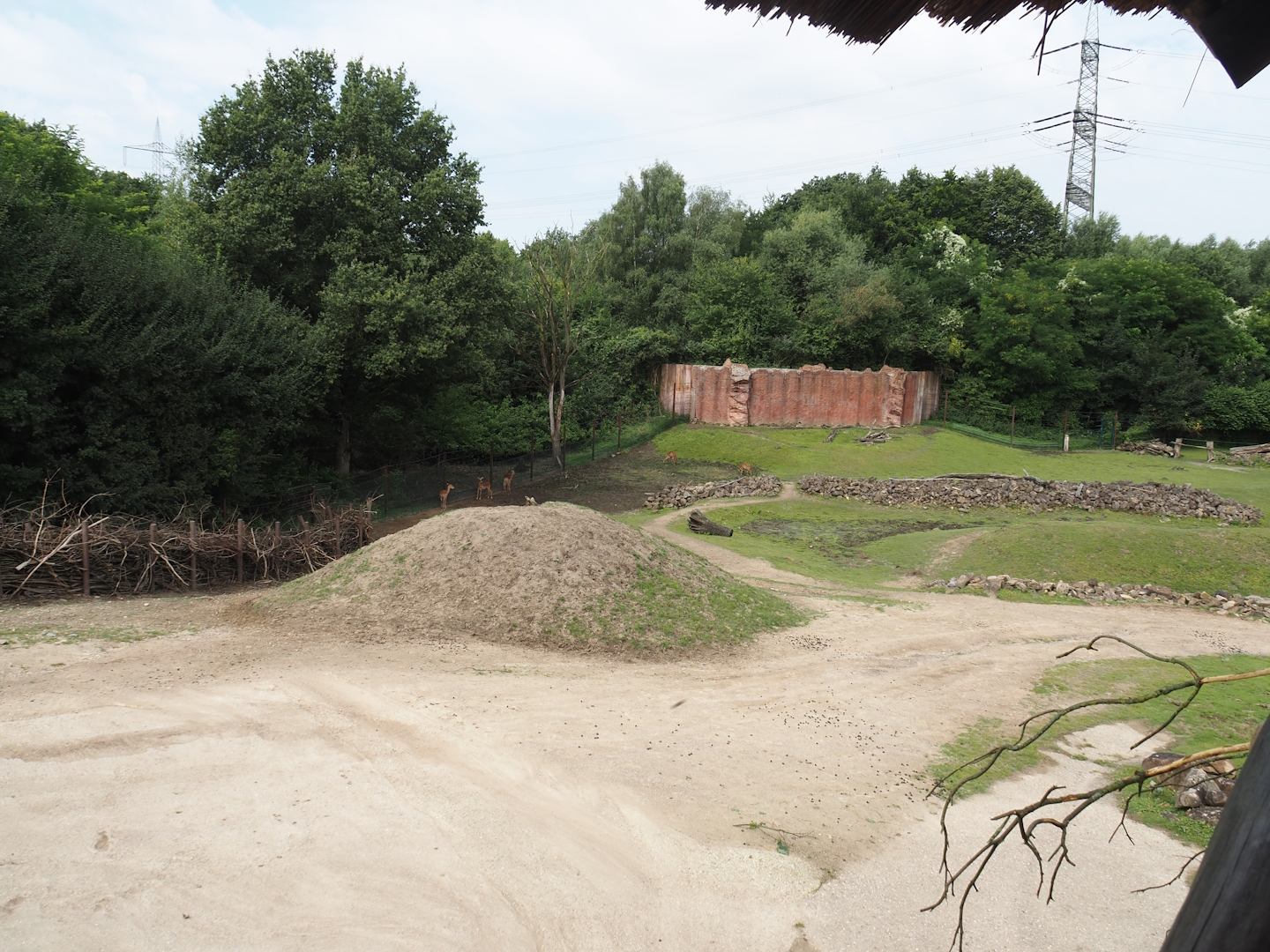 Bush/Tree savanna exhibit, 2024-08-05