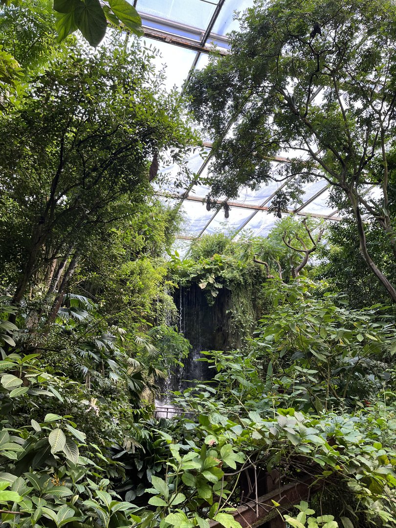 Bush- view towards waterfall 6.7.23