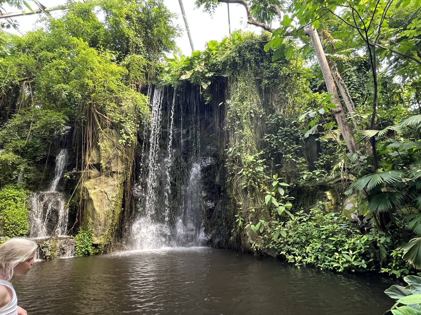 Bush- Waterfall 6.7.23