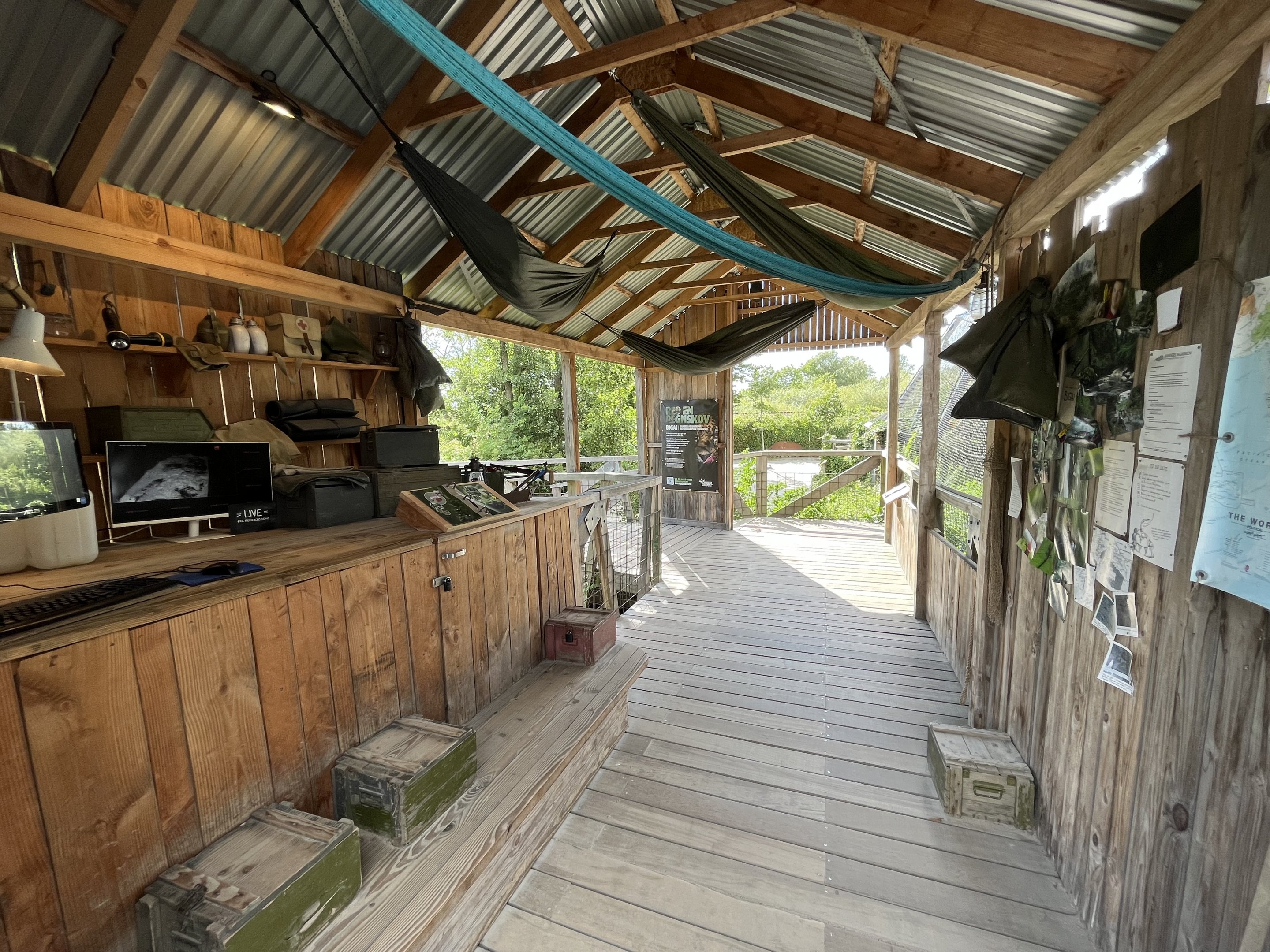 Bushmaster Camp (no animals)