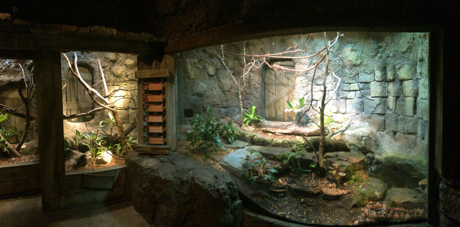 Bushmaster & Poison Frog Exhibit