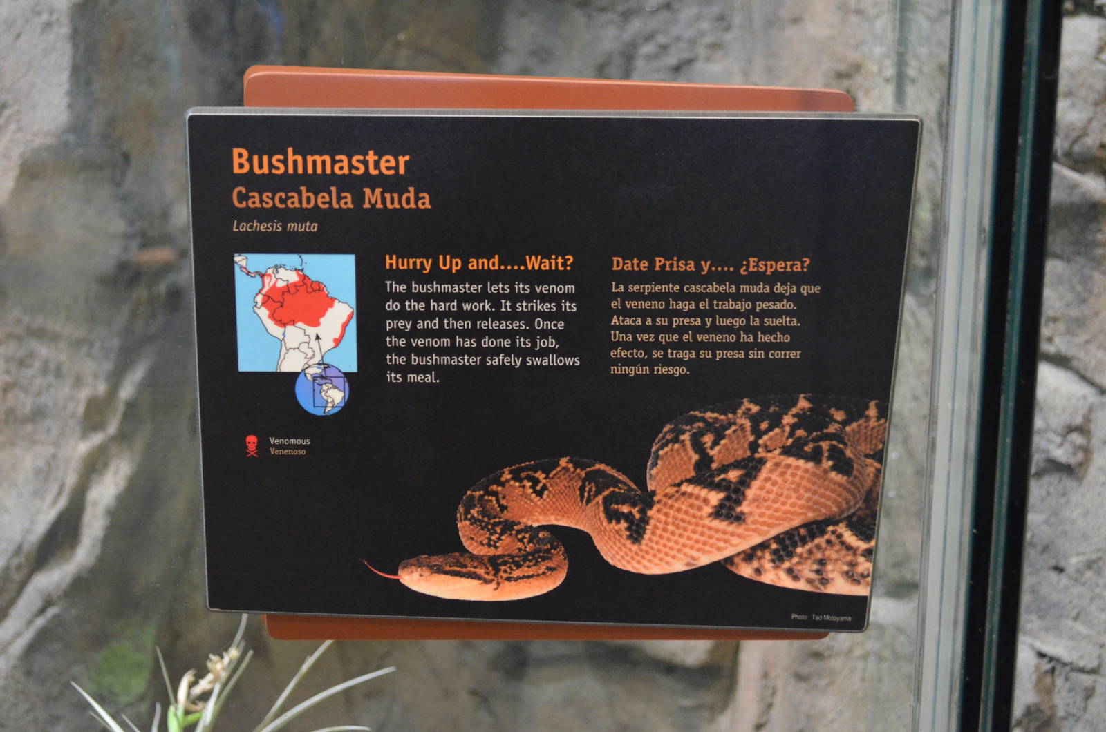BUSHMASTER SIGNAGE
