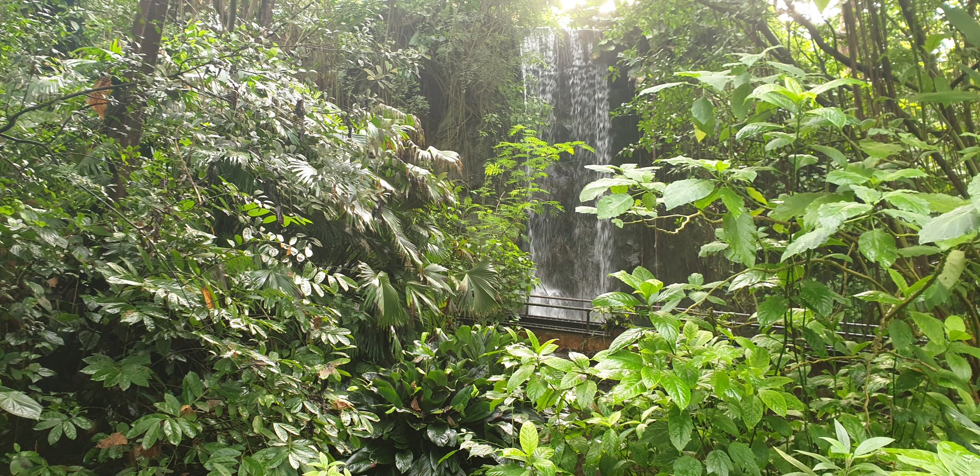 Bushs' waterfall