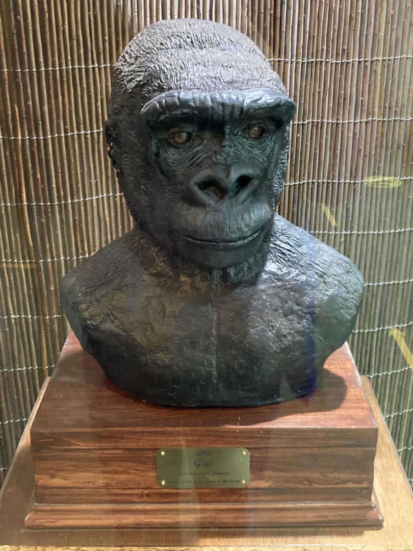 Bust of Gigi (1972-2019)