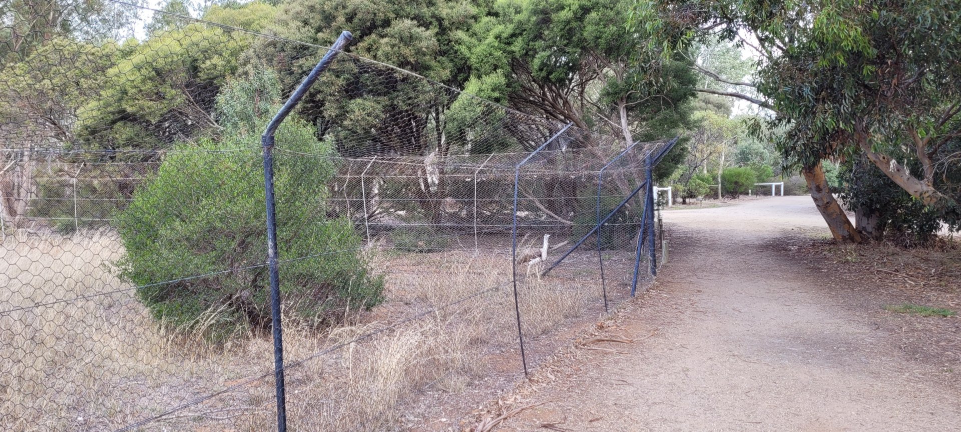 Bustard Enclosures