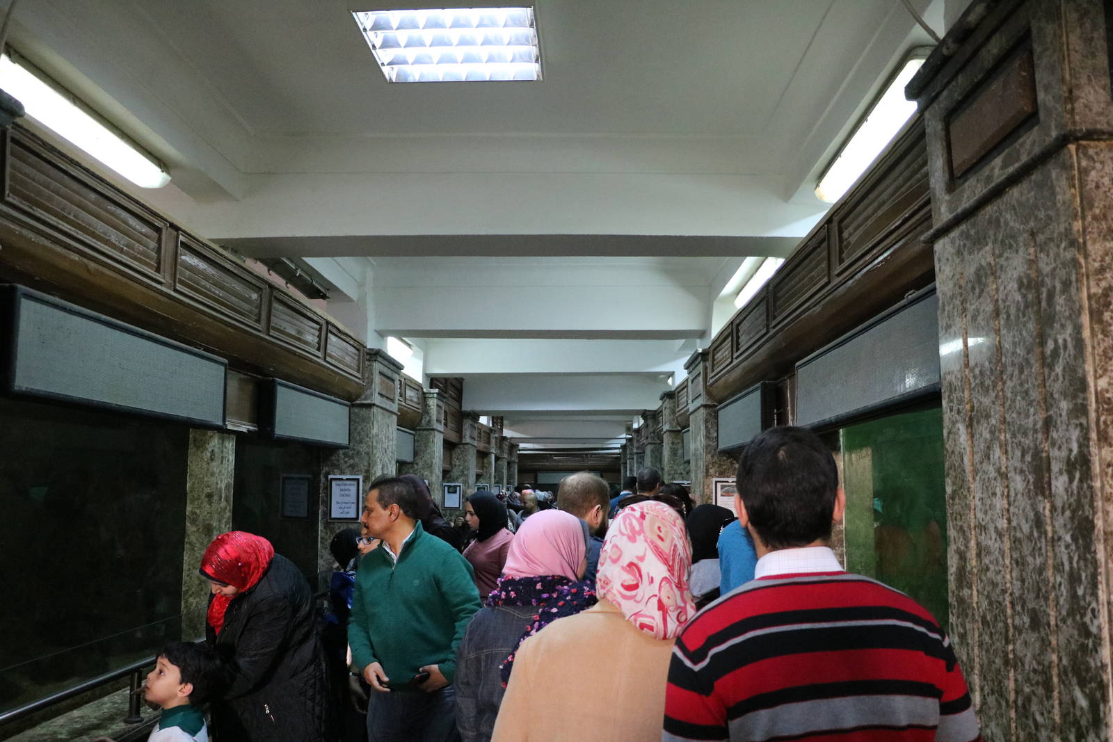 Busy corridor, February 2016