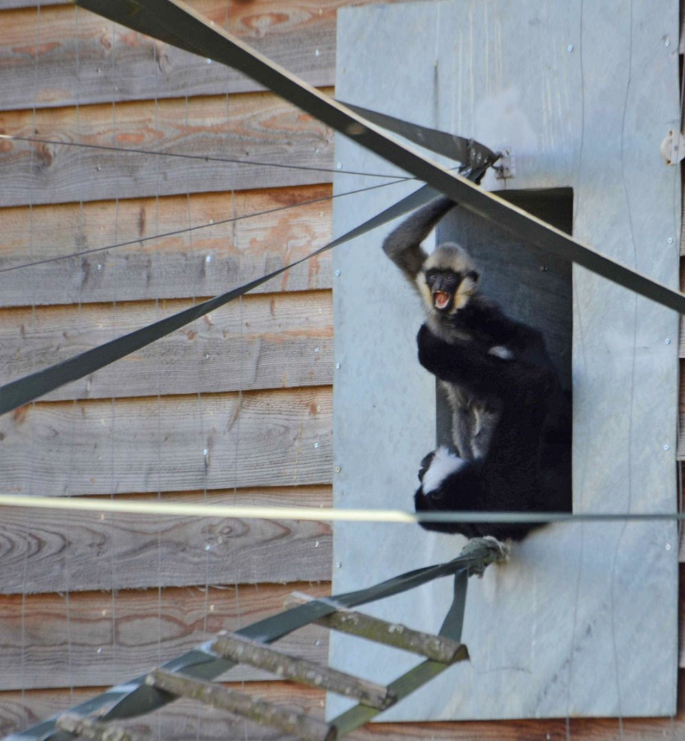 But I want to play in the sun!!!!